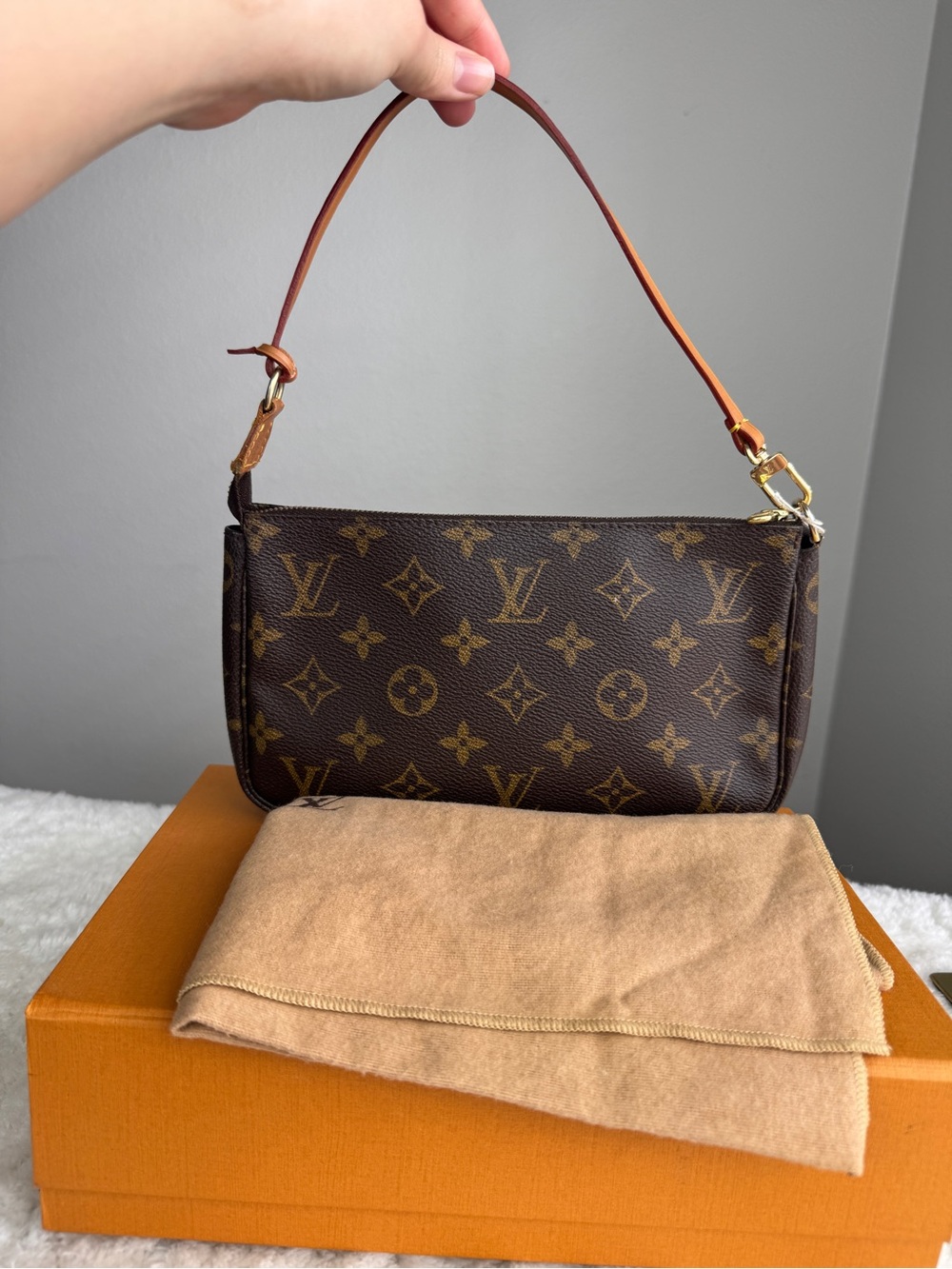 Louis Vuitton Monogram Canvas Pochette Accessoire in Brown